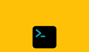 Mengenal Command Terminal pada Mac - Panduan Lengkap Command Line Interface - command dasar terminal Mac