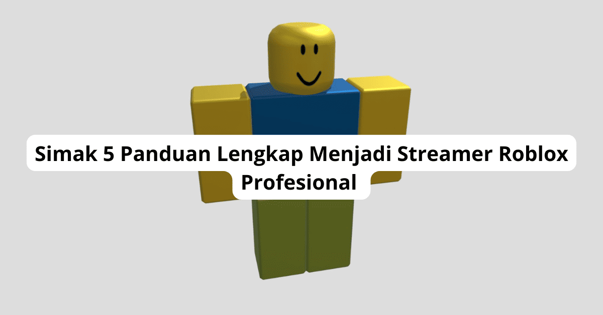 Streamer Roblox Profesional